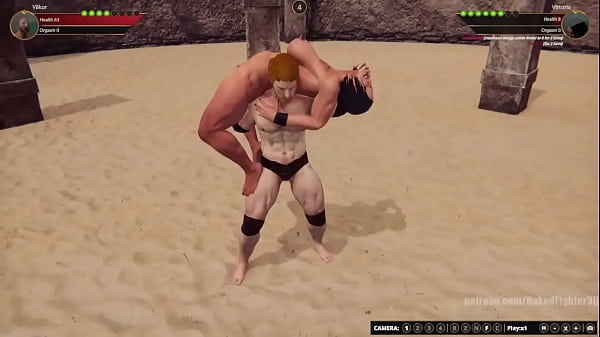 Vilkor VS Vittoria (Naked Fighter 3D)