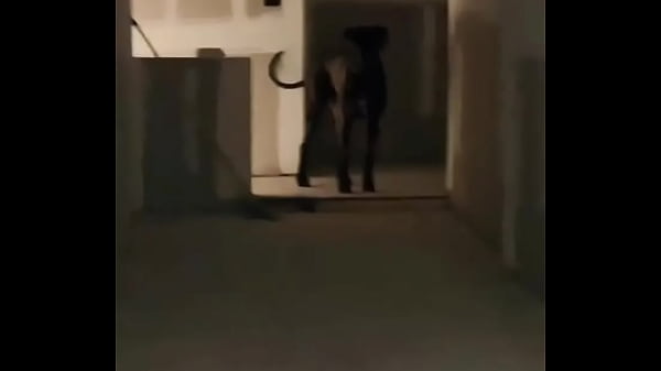 My secret door is done... Oh the things no one will ever know about. Unless you follow my other Tatiana Steele69 stores