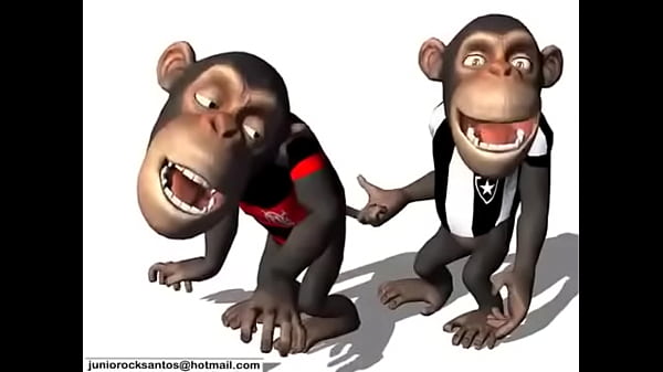 macaco coçando o cu do outro