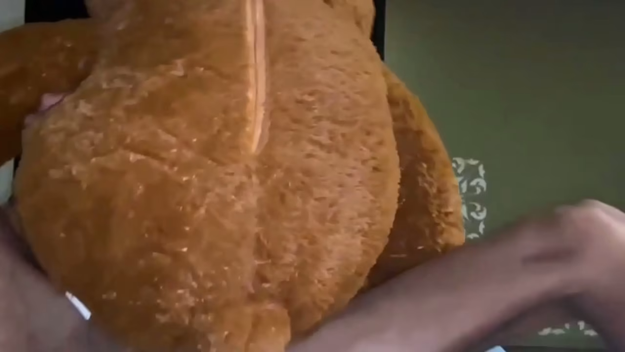Fucking my teddy bear until I give it milk.
