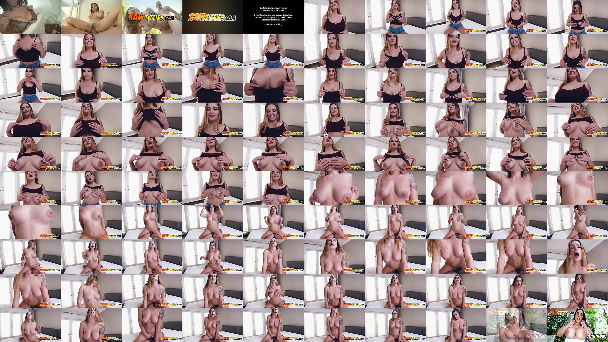 Busty dakota gets fucked while her big titties jiggle 预览图