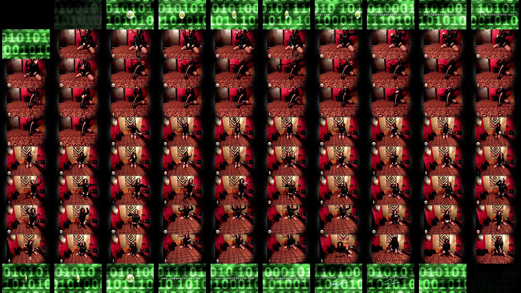 Sequence Matrix QA 预览图