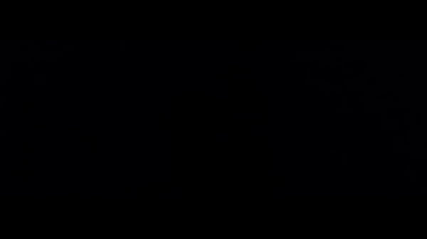 Garota que acaba de completar 14 de idade dando para seu pai