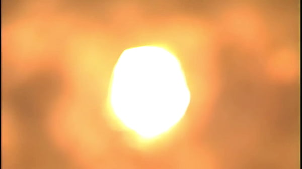 Haley's Pussy Craving For Marco's Hard Cock.