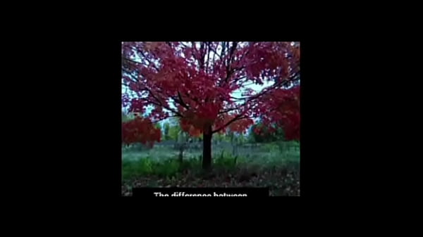 A blog about every other remake of songs that have the first time we made love lyrics while listening to older ones of them for free and for fun