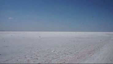 White Salt of Desert