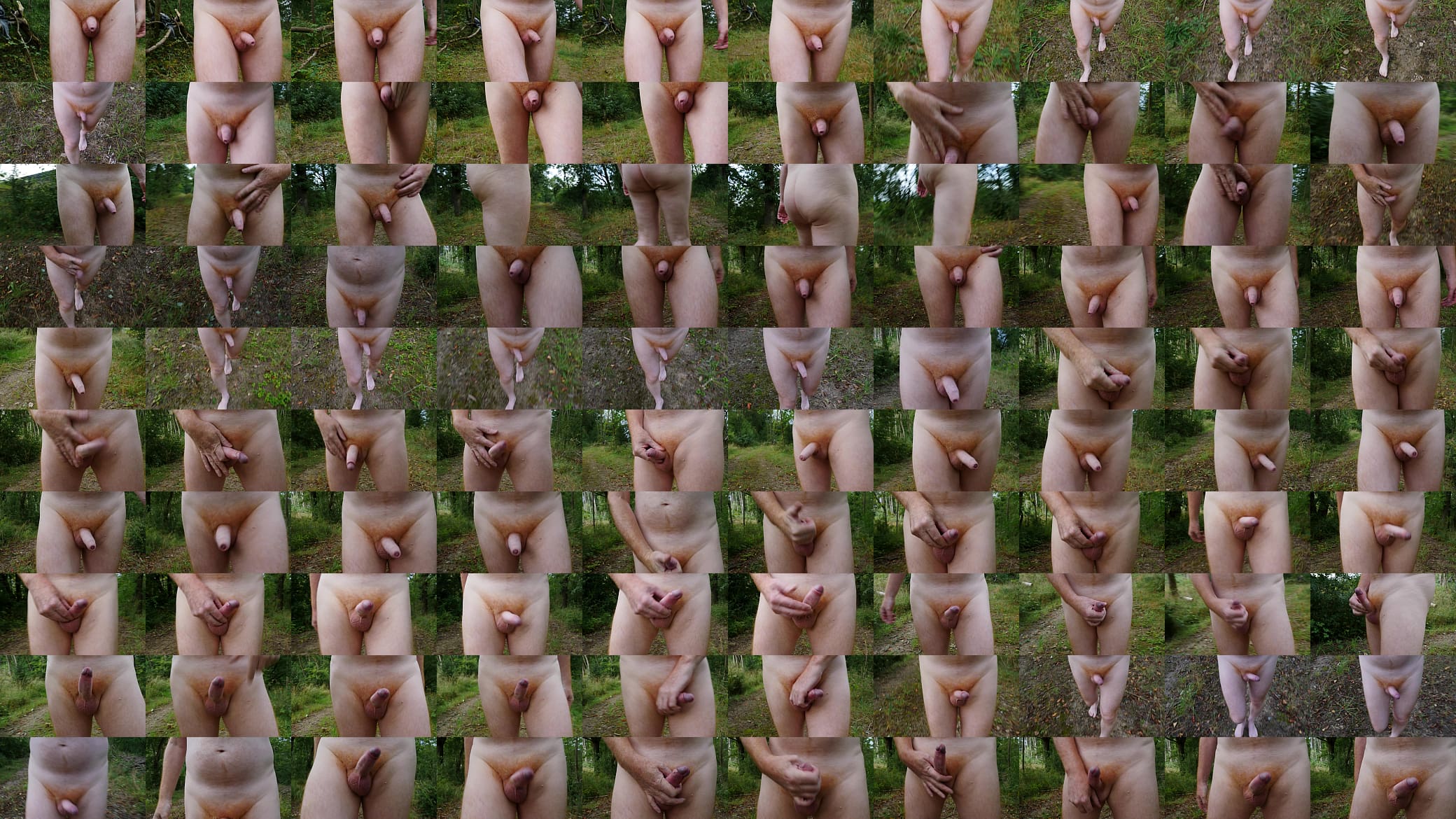 Walking Naked in the Forest 预览图