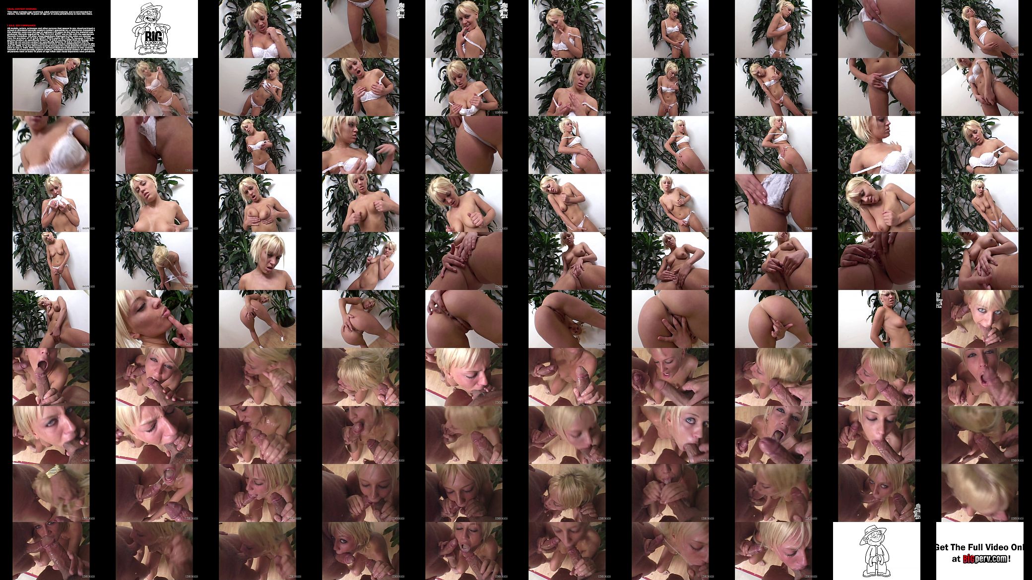 Gagging Blonde Slut Holly Wellin Face Fucks 2 Hard Cocks &amp; Gets Facial 预览图