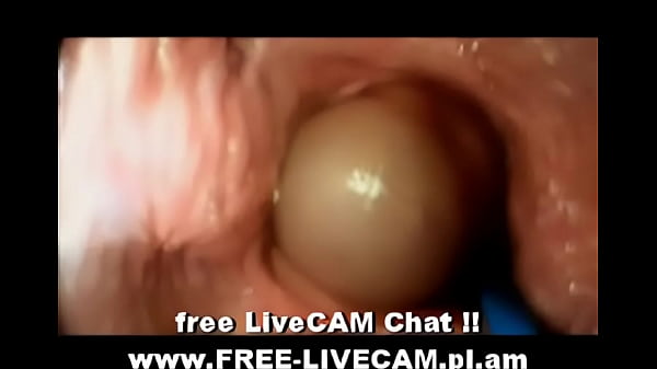 internal view of penis in pussy