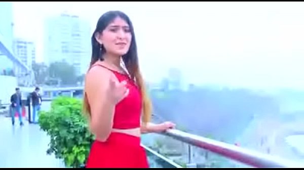 Nunca dudes de mi Amor