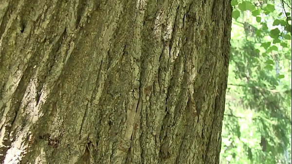 Lucy G Gets Naked And Has Fun In The Park