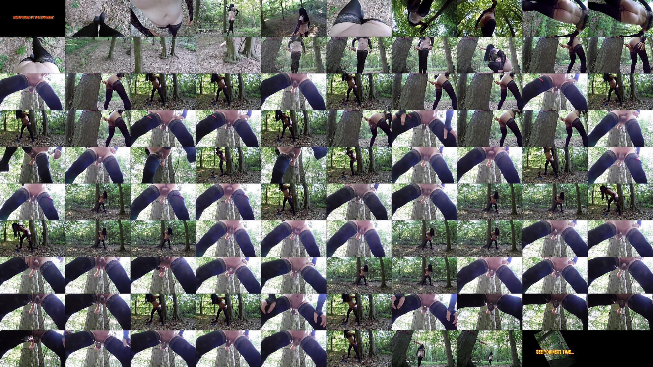 Surprise in the forest 预览图