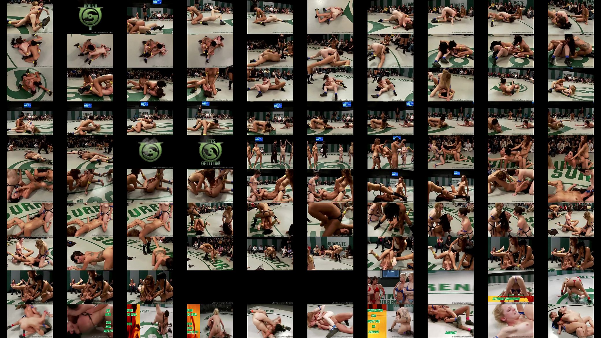 Ultimate fucking championship 预览图