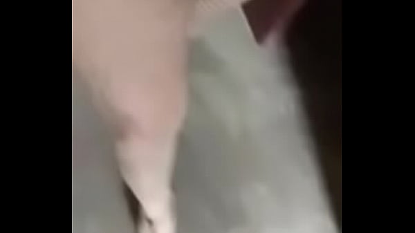 Chica tv deliciosa jugando