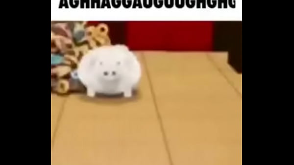 Meow meow meow AAAHHG
