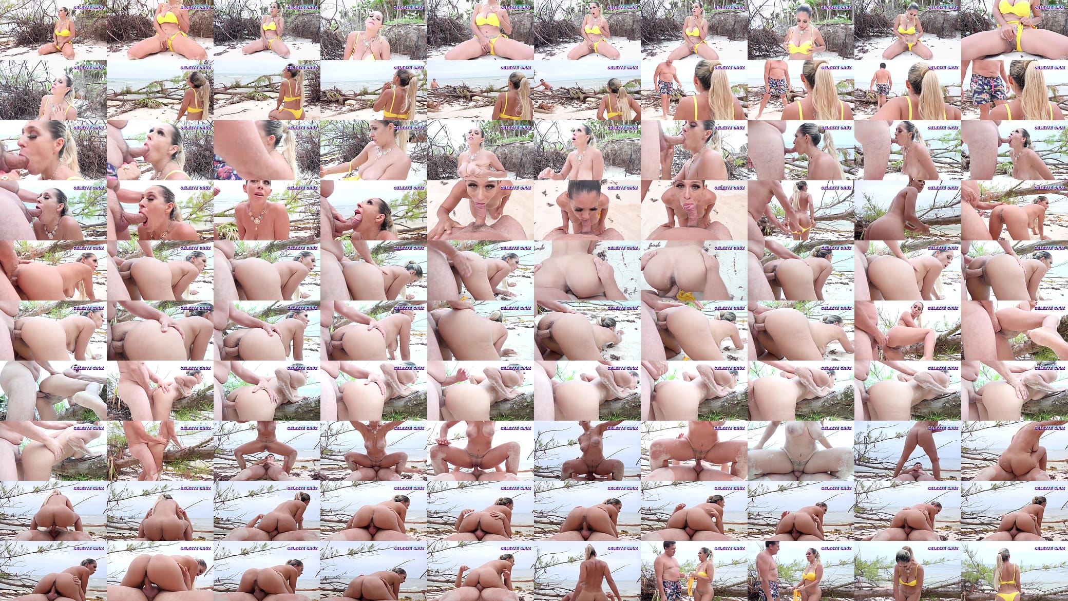 fucked on the beach by a tourist 预览图