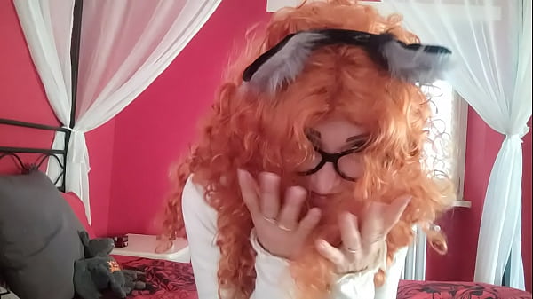 kitten with an amazing tail