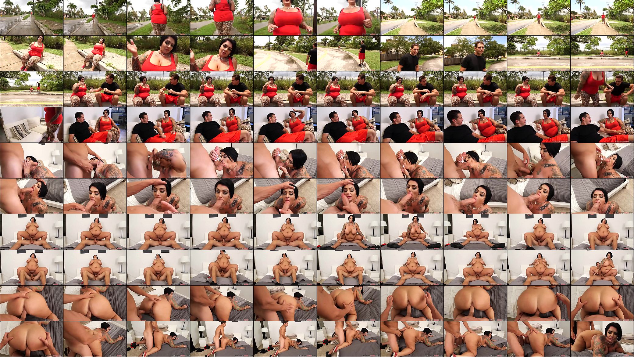 Huge Tit MILF Erika Xstacy Runs Into Huge Cock 预览图