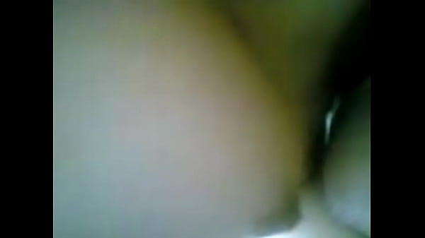 Anis