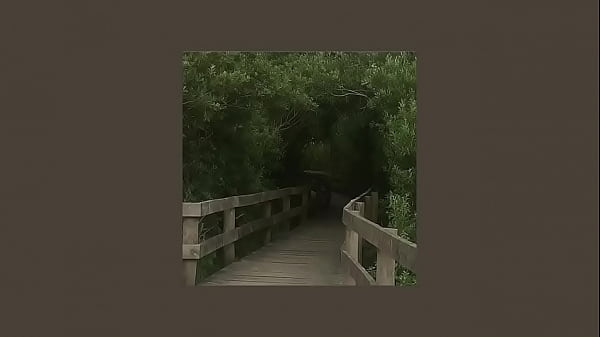 well fell in love in october