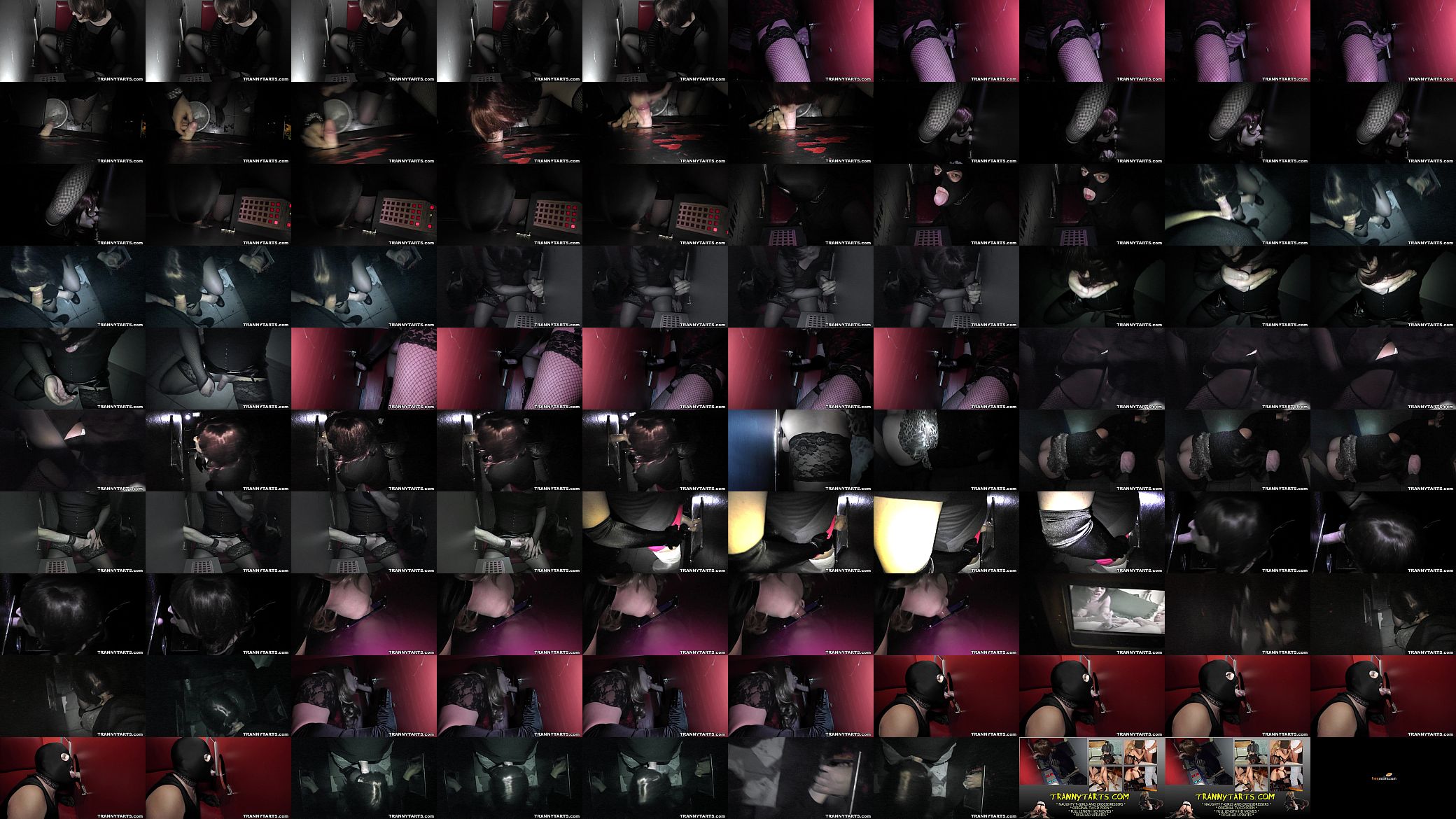 Our T-Girls and crossdressers sucking cocks at the gloryholes 预览图