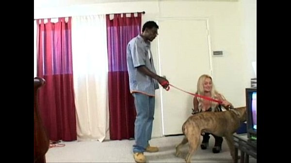 Download Video - White Wife Black Cock 2 Scene 2 b