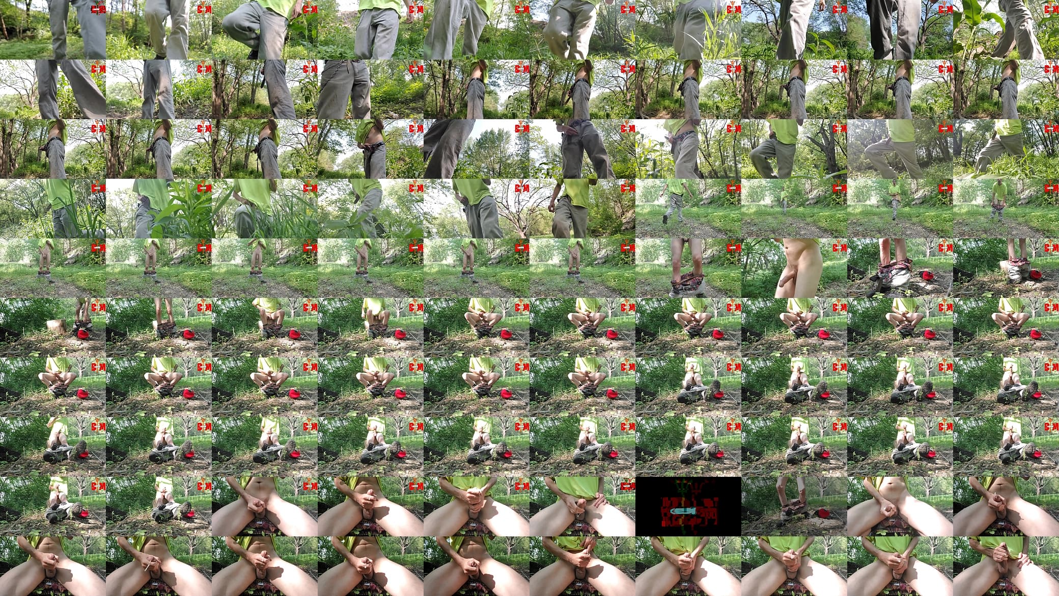 I really do enjoy playing with my big white cock in the forest! 预览图