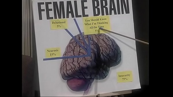 Fairhaired cutie Lauren Phoenix asked her boyfriend to give an appraisal of her presentation about differences between female and male brains