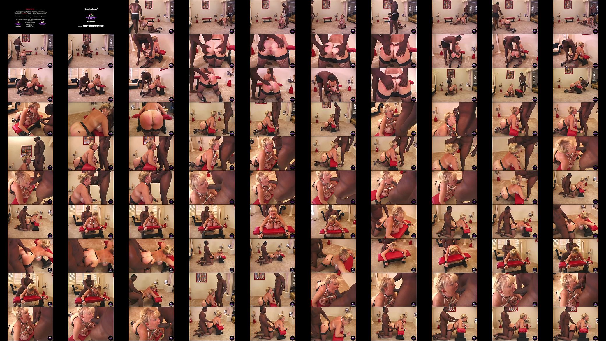 Breeding Bench starring Kayla Kleevage and Jody Breeze part 1 预览图