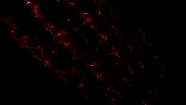 Step-mother Stay with me - Rachel Steele