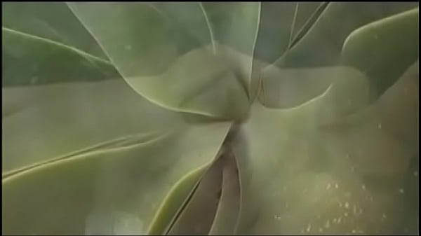Hot Latina gets horny when her boyfriend puts a dildo in her holes and fucks a tight dick and she gives him a great blowjob