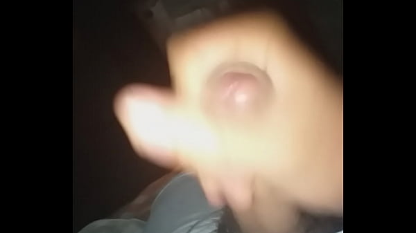Pajaz rica