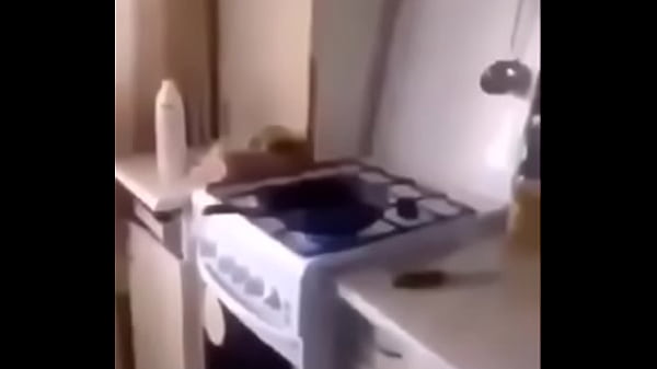 Stove