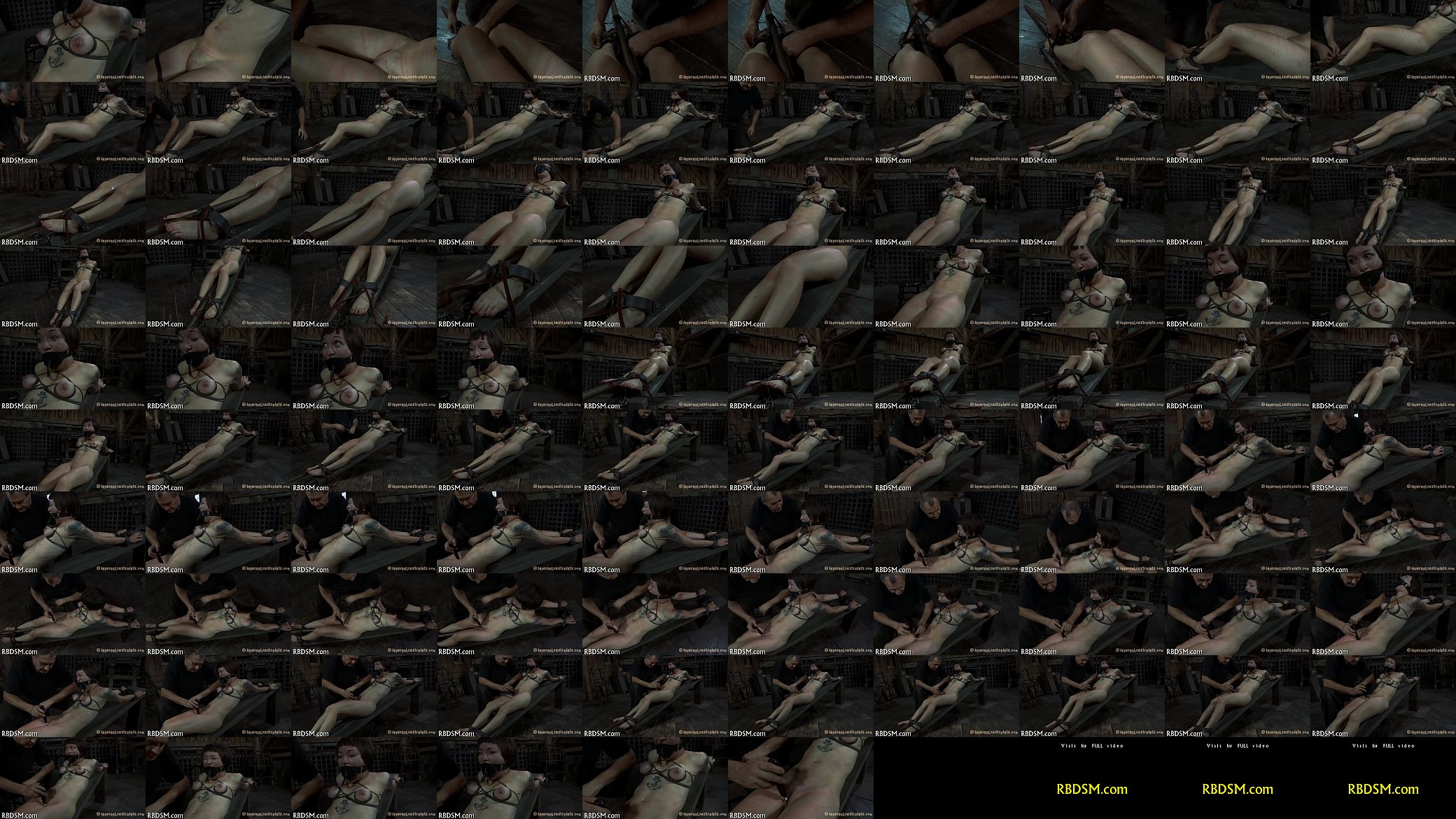 t. in upside down position 预览图