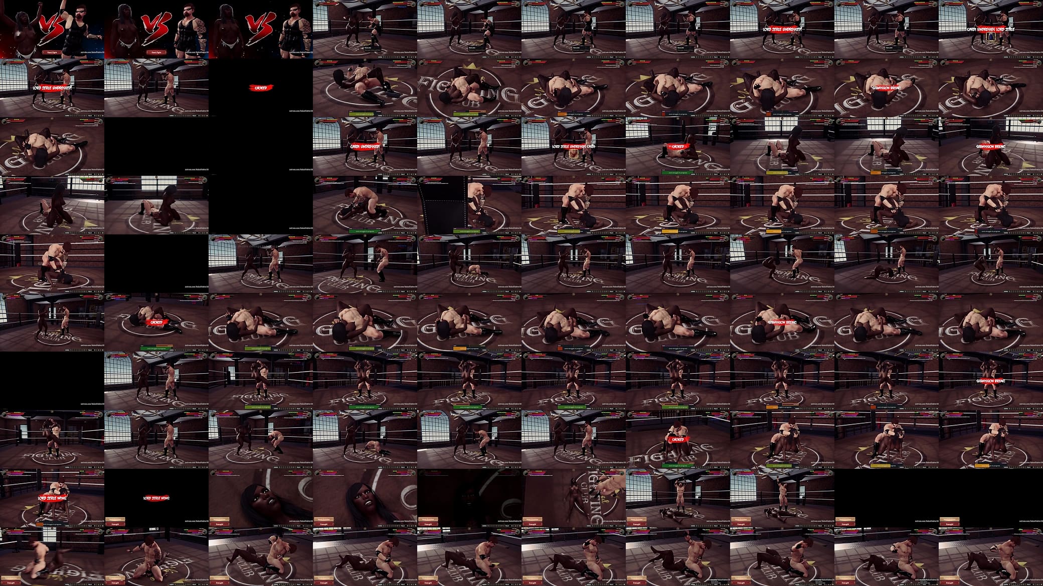 Cardi VS Lord Jerle(Naked Fighter 3D) 预览图
