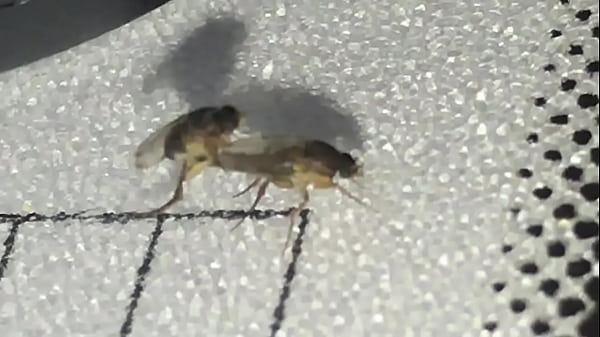 Girl get fucked hard