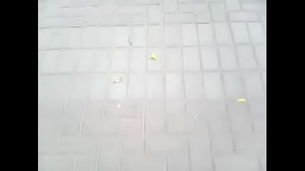 MOV00006