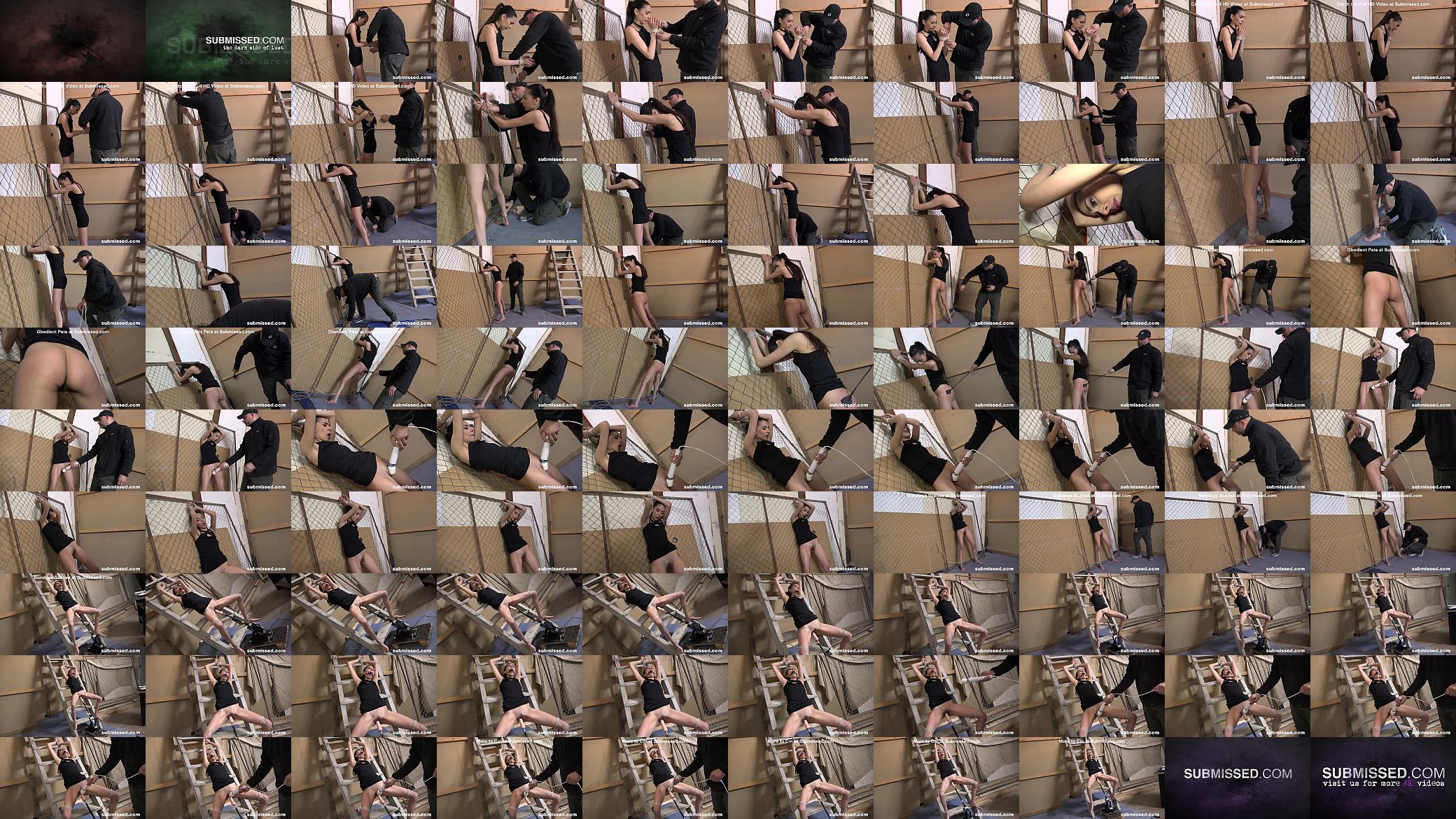 Master restrains Ashley Ocean&rsquo;s Orgasms 预览图