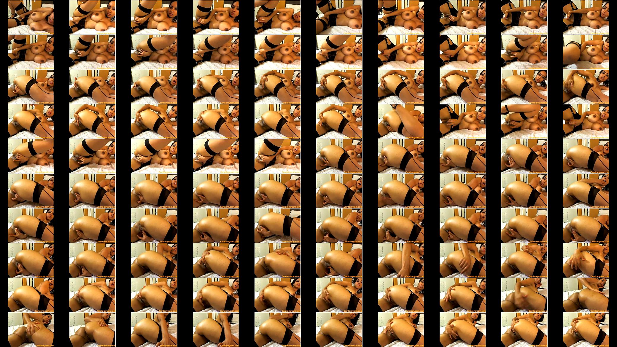 camtomycam (5) 预览图