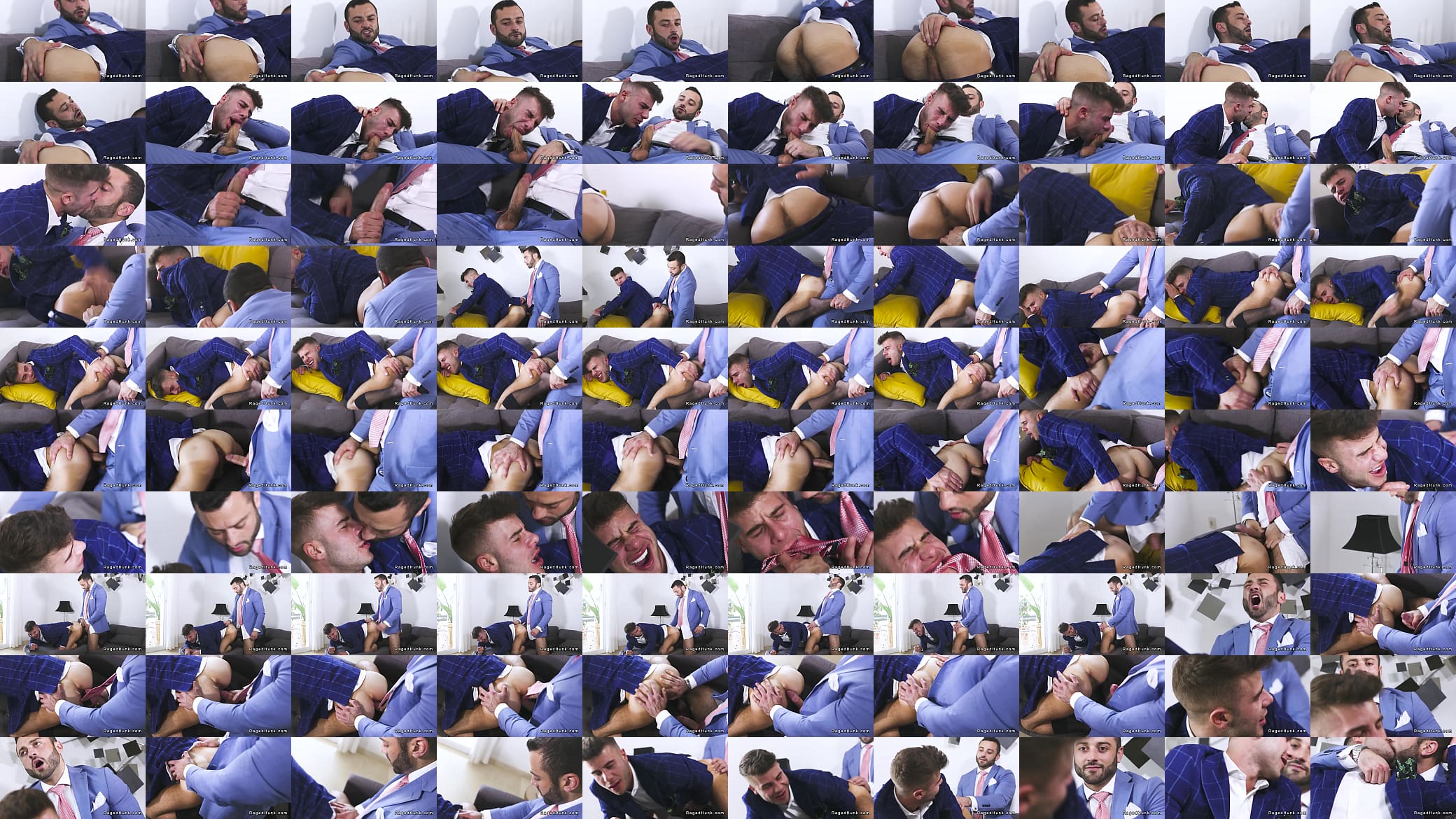 Real estate agents anal fucking in their suits 预览图