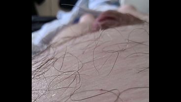 Kamerarundflug über den behaarten Bärchen Bauch
