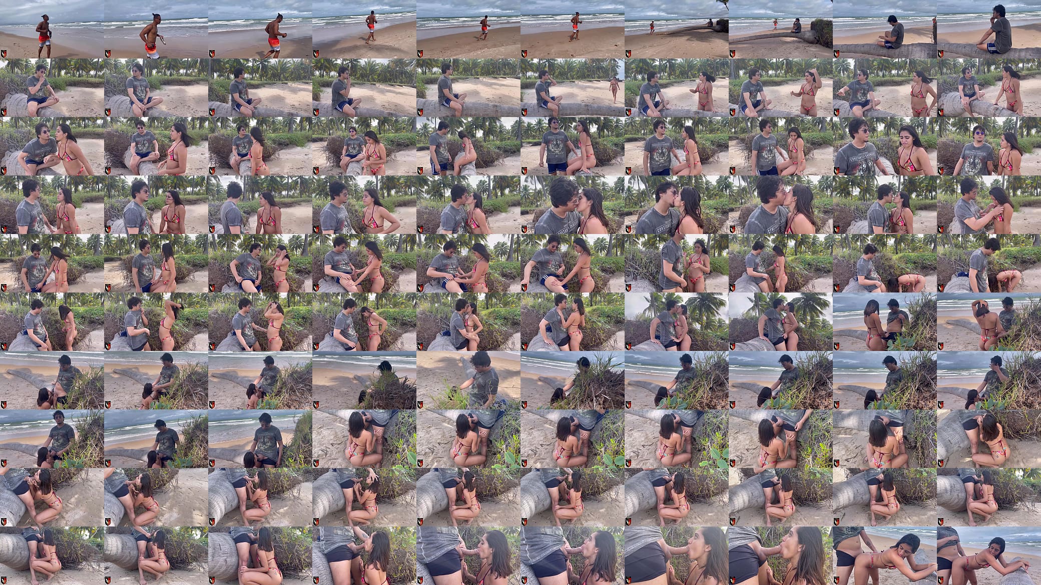 Traindo Marido na Praia 预览图