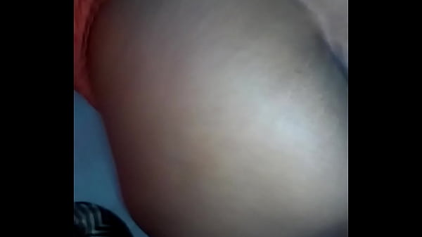 mixed breed doggy from behind