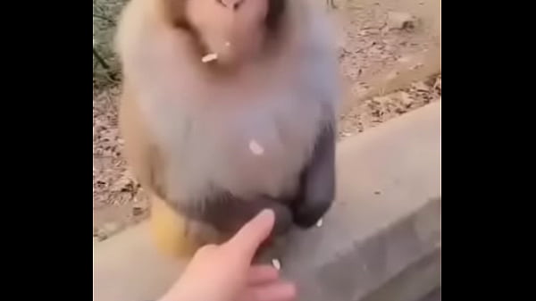 arrebentando ela na braquiara