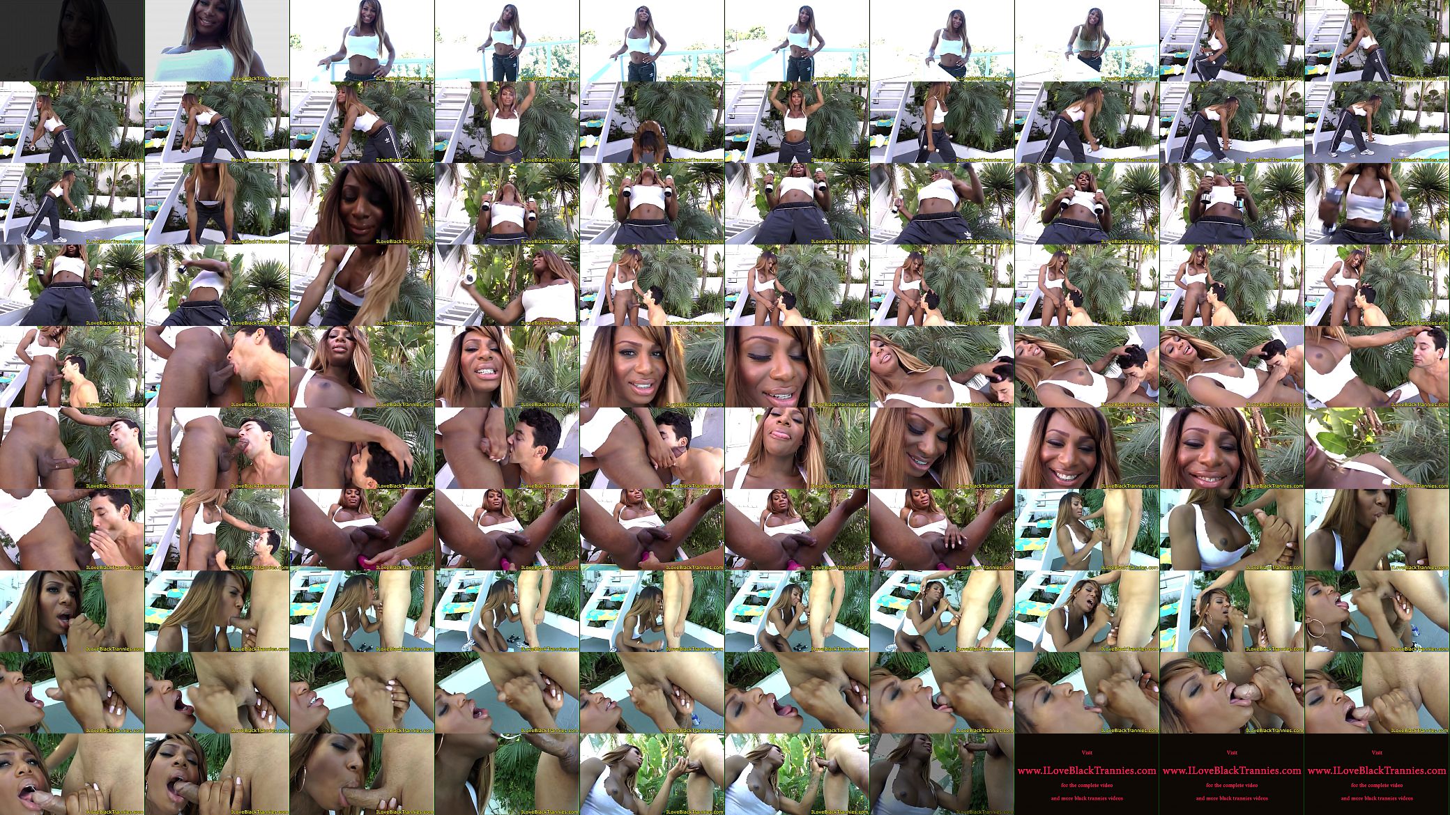 Busty ebony tgirl gives blowjob outdoors 预览图
