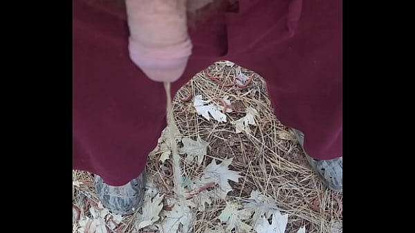 Kaso221 - 7am pee time