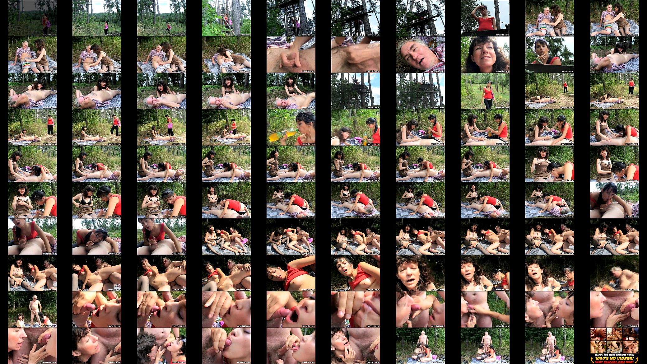 Naughty Teen Spies And Joins Mature Couple Having Sex Outdoors 预览图