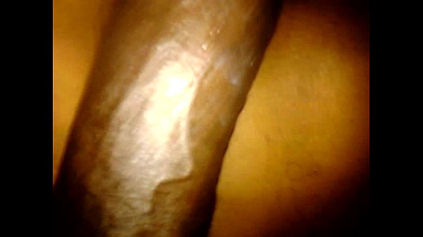 Chien Pendant Qu'elle Dort