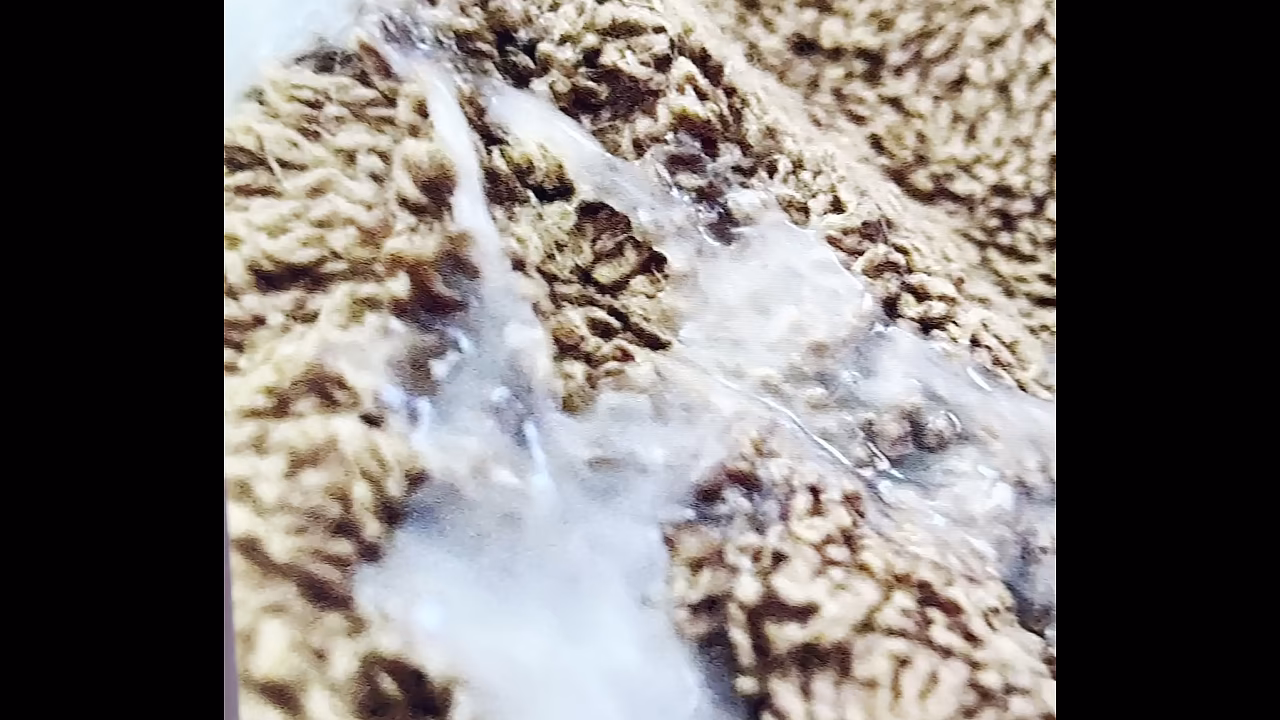 V&iacute_deo de verifica&ccedil_&atilde_o