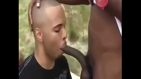 Download Video - 240P 367K 11048751